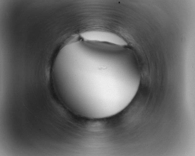 X0000089870454200707191941