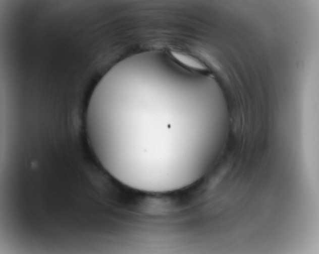 X0000089870455200707191941