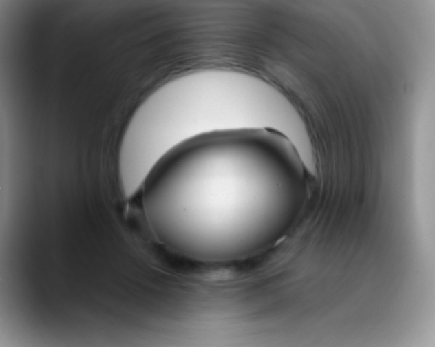 X0000089870456200707191941