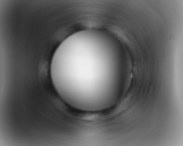 X0000089870458200707191941