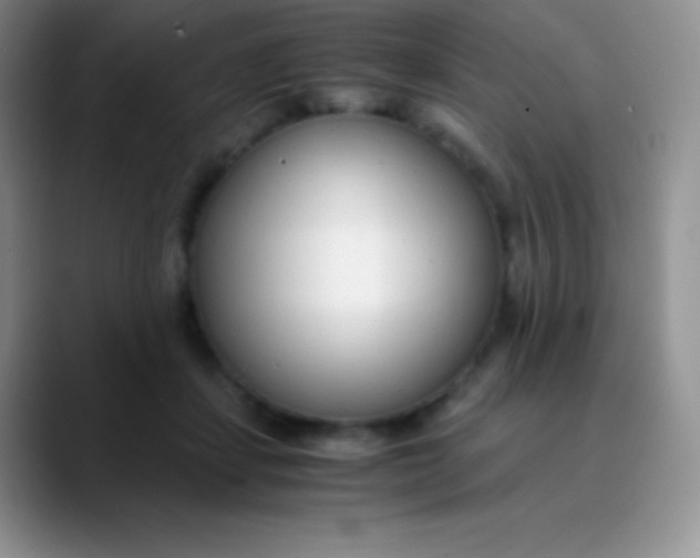 X0000089870459200707191941