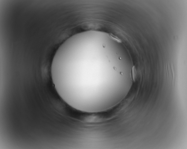 X0000089870460200707191941