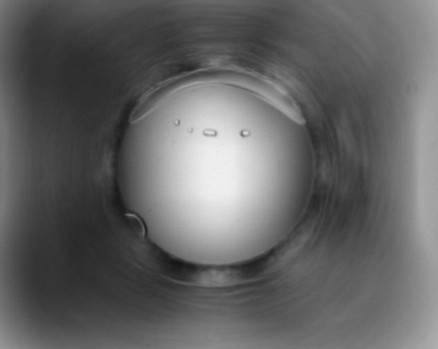 X0000089870461200707191941