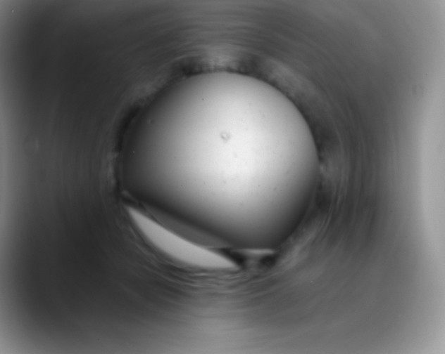 X0000089870462200707191941