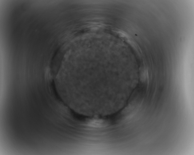 X0000089870471200707191941