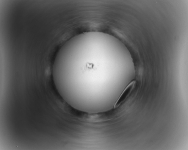 X0000089870472200707191941