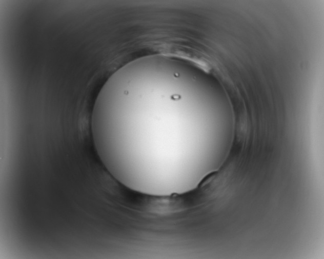 X0000089870473200707191941