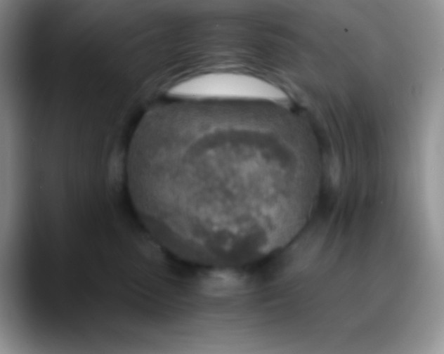 X0000089870475200707191941