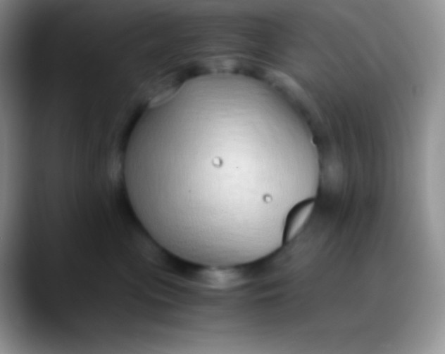 X0000089870477200707191941