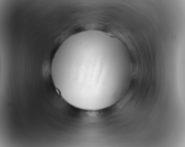 X0000089870478200707191941