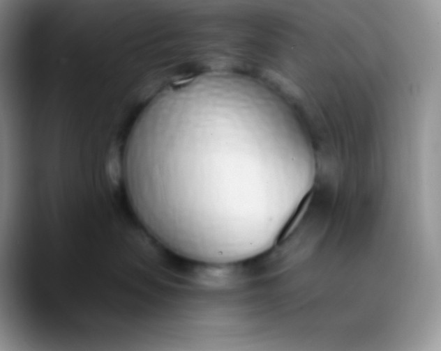 X0000089870479200707191942