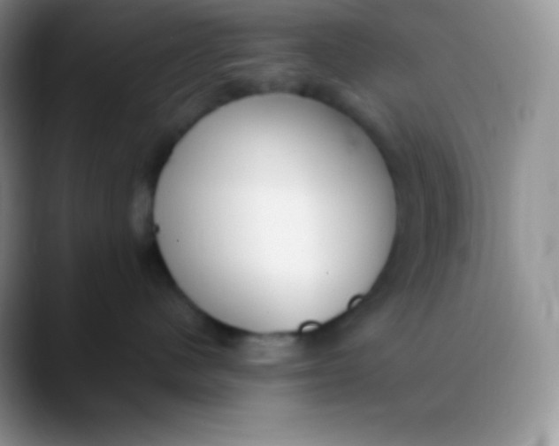 X0000089870480200707191942