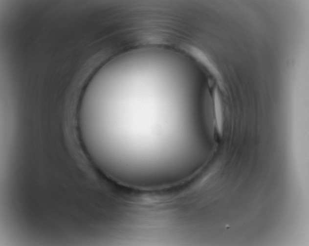 X0000089870481200707191941