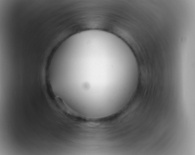 X0000089870482200707191941