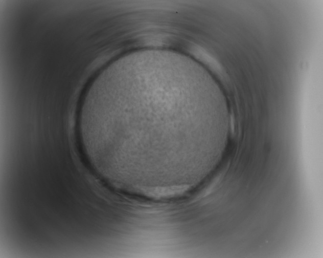 X0000089870483200707191941