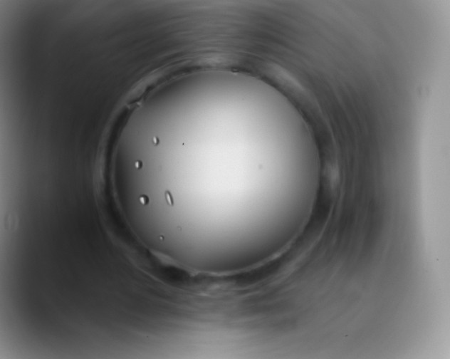 X0000089870484200707191941