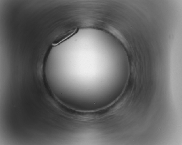 X0000089870485200707191941