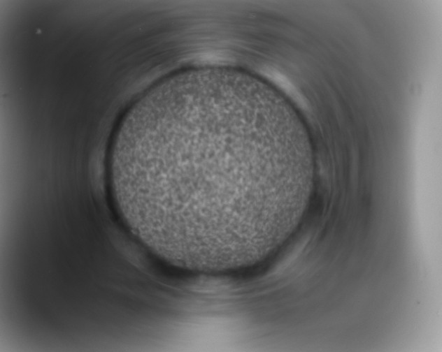 X0000089870487200707191941