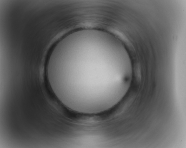 X0000089870488200707191941