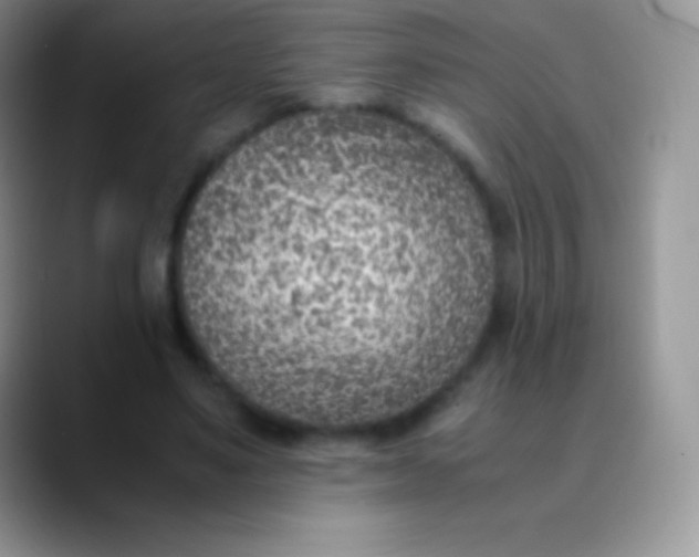 X0000089870491200707191941