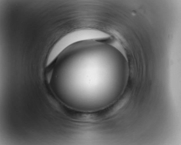 X0000089870493200707191941