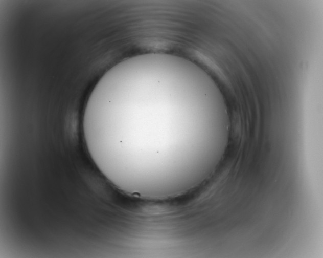 X0000089870494200707191941