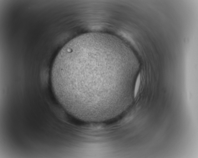 X0000089870495200707191941