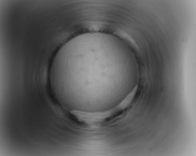 X0000089870496200707191941