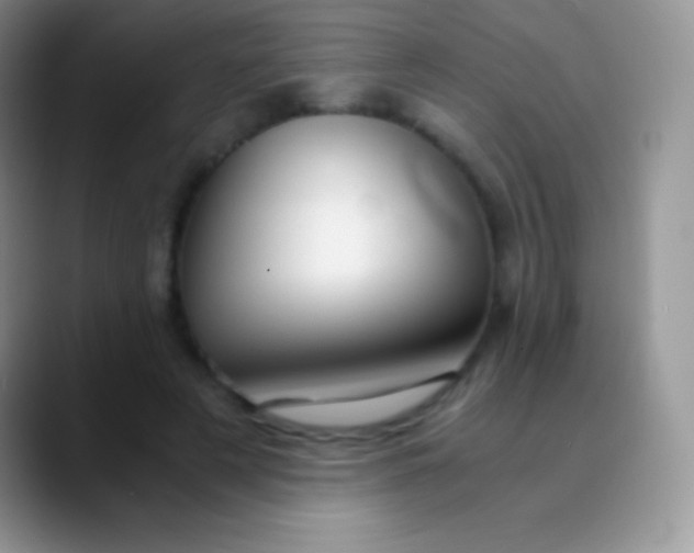 X0000089870497200707191941