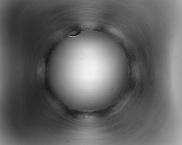 X0000089870498200707191941