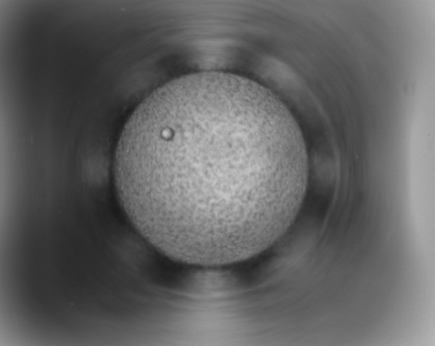 X0000089870499200707191941