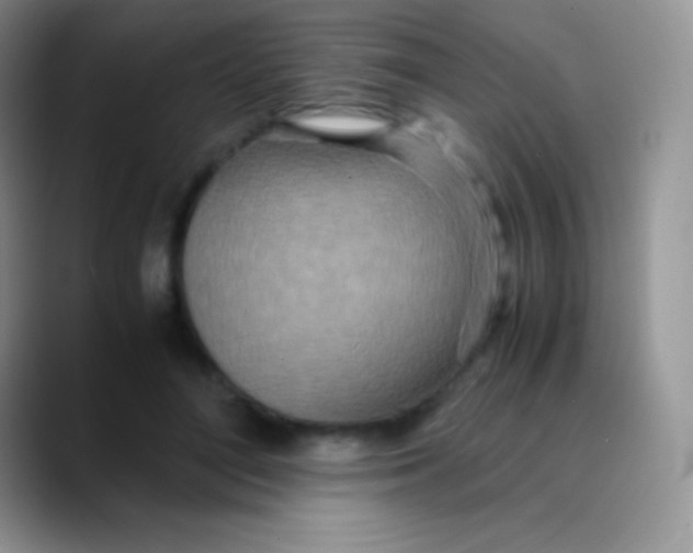 X0000089870500200707191941