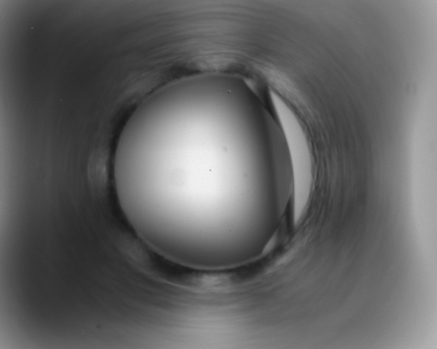 X0000089870501200707191941