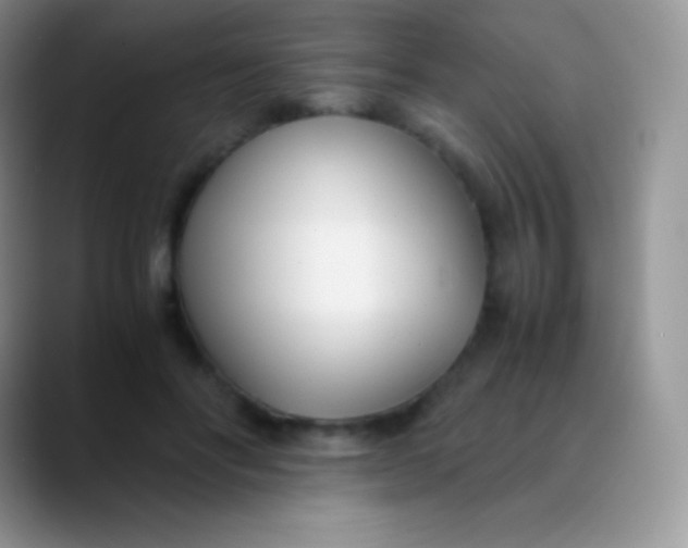 X0000089870502200707191941