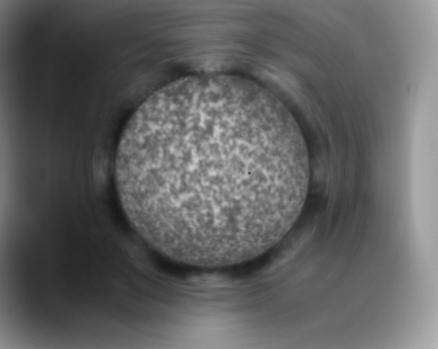 X0000089870503200707191941