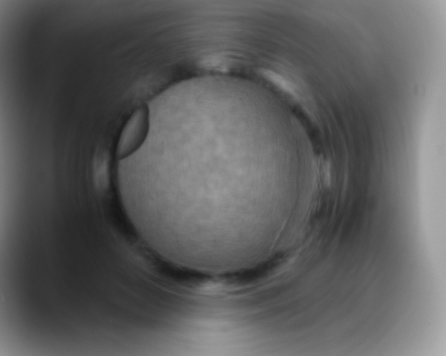 X0000089870504200707191941