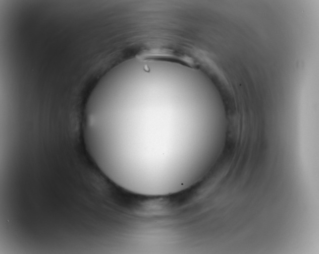 X0000089870505200707191941