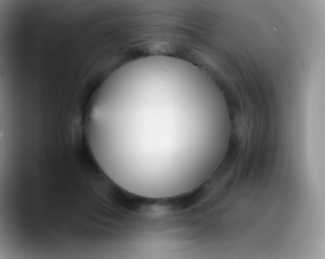 X0000089870506200707191941