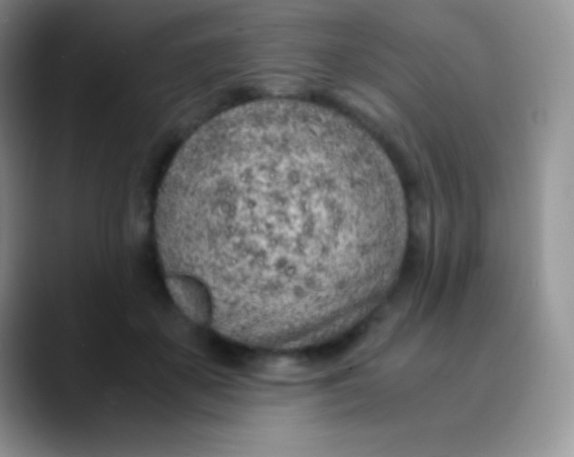 X0000089870507200707191941