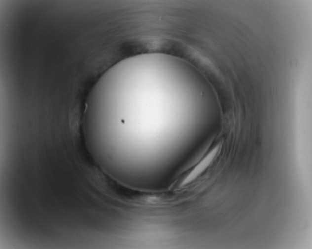 X0000089870509200707191941