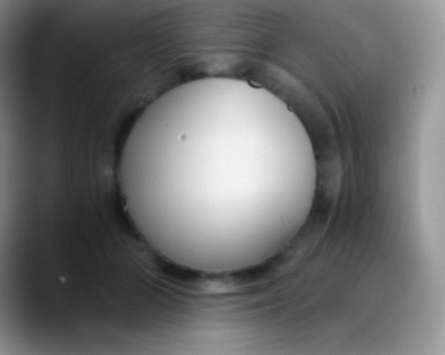 X0000089870510200707191941