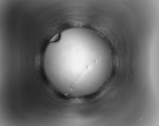 X0000089870511200707191941