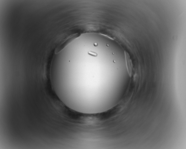 X0000089870512200707191941