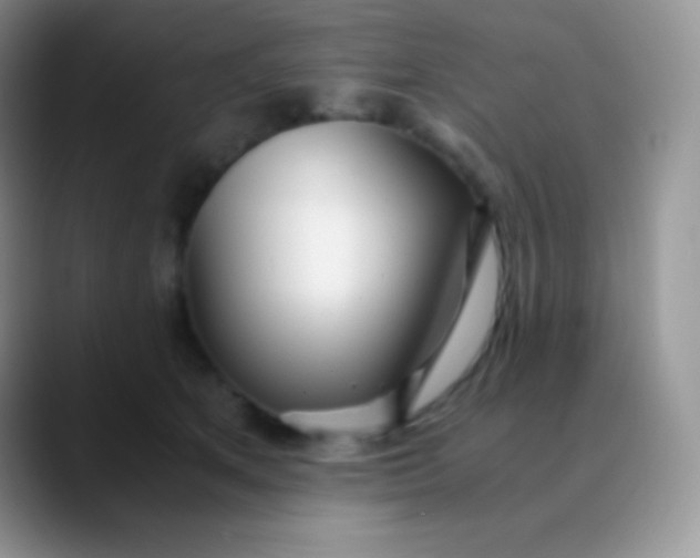 X0000089870513200707191941