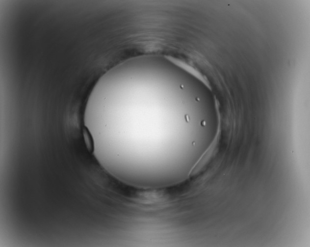 X0000089870516200707191941