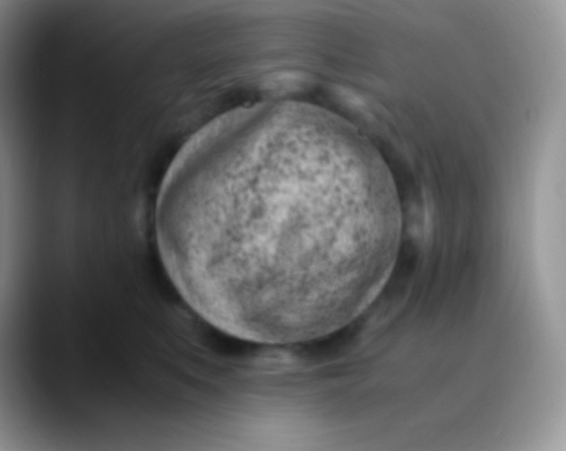 X0000089870519200707191941