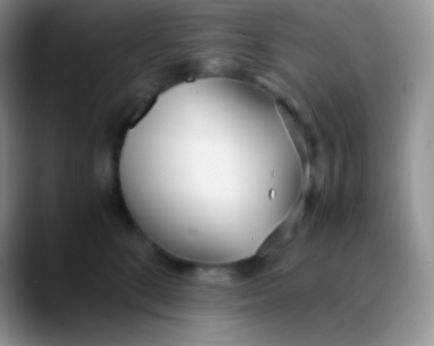 X0000089870520200707191941