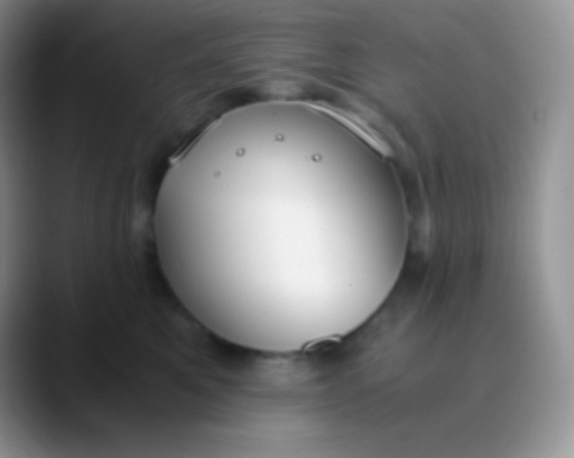 X0000089870521200707191940