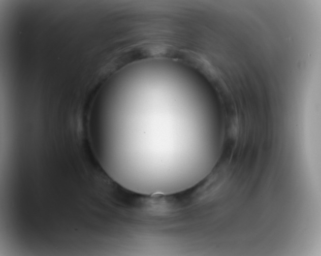 X0000089870524200707191940