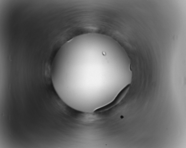 X0000089870528200707191940